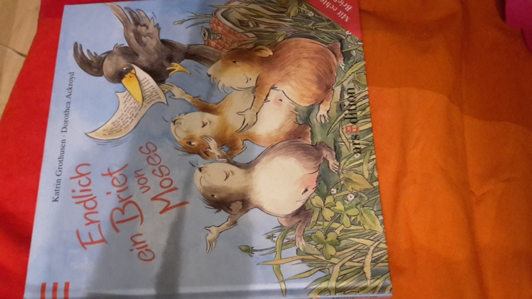 Bücher: Buch endlich ein Brief von Moses – Neu (gemäss Beschreibung) aus Schwarzenburg von Flamingo07