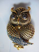 sehr grosse Eule Brosche, Goldfarben, blaue Strasssteine