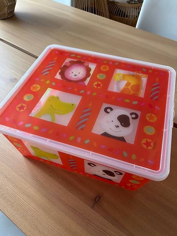 Rotho Contenitori & Simili: Aufbewahrungsbox Marke Rotho Kinder – Usato da Bülach venduto da marspi