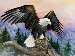 Diamond Painting Adler über den Bergen-102-30x40-825