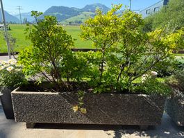 CASTELLO Pflanzentrog rechteckig, 150 cm