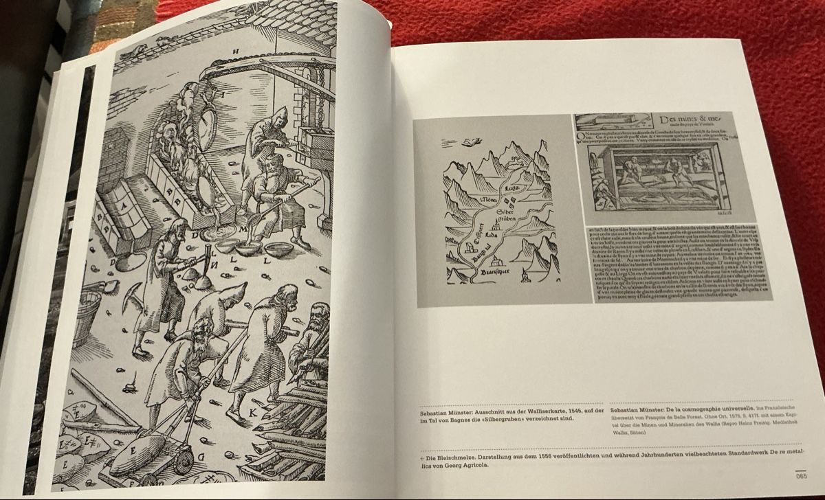 Libri: Wallis Ein industriefeindliches Volk ? - Werner Bellwald – Usato da Crans-Montana venduto da plainemorte 2
