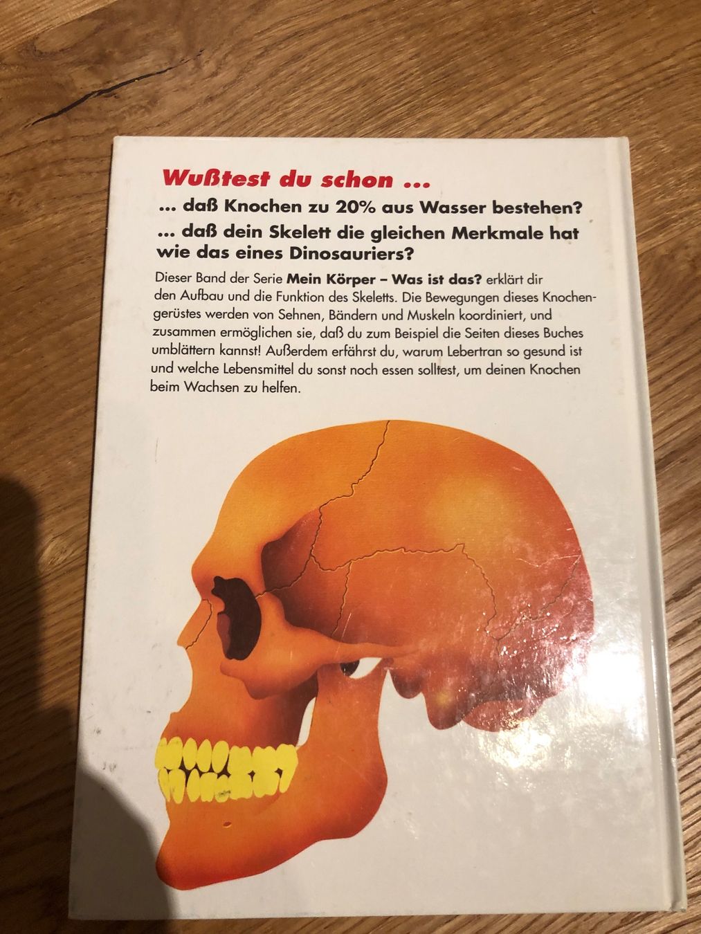 Libri: Mein Körper was ist das? DAS SKELETT – Usato da Wattwil venduto da jopara 1