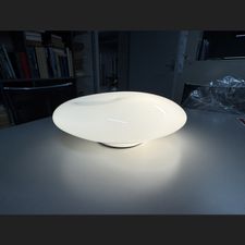 Profile image of Angelus