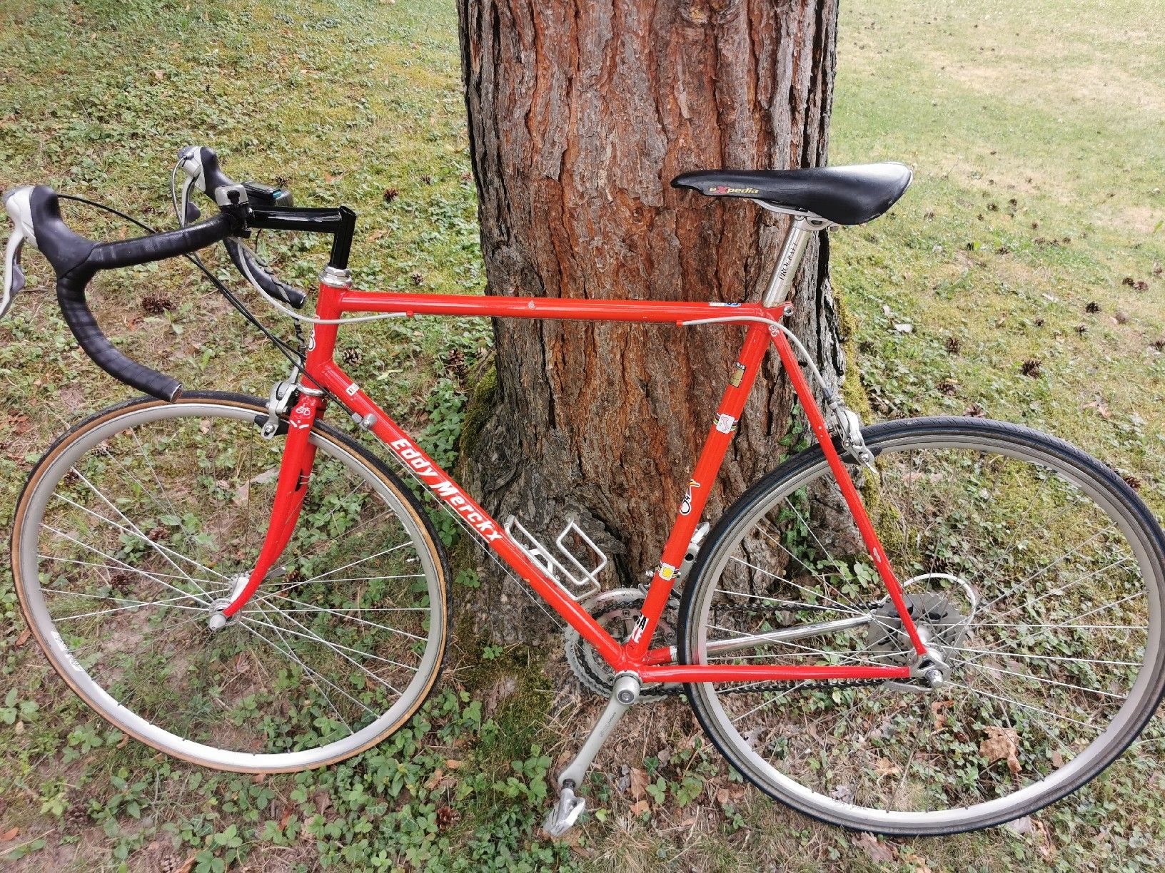 Velos: Eddy Merckx Rennvelo – Gebraucht aus Schwerzenbach von rao_m26t