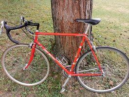 Eddy Merckx Rennvelo