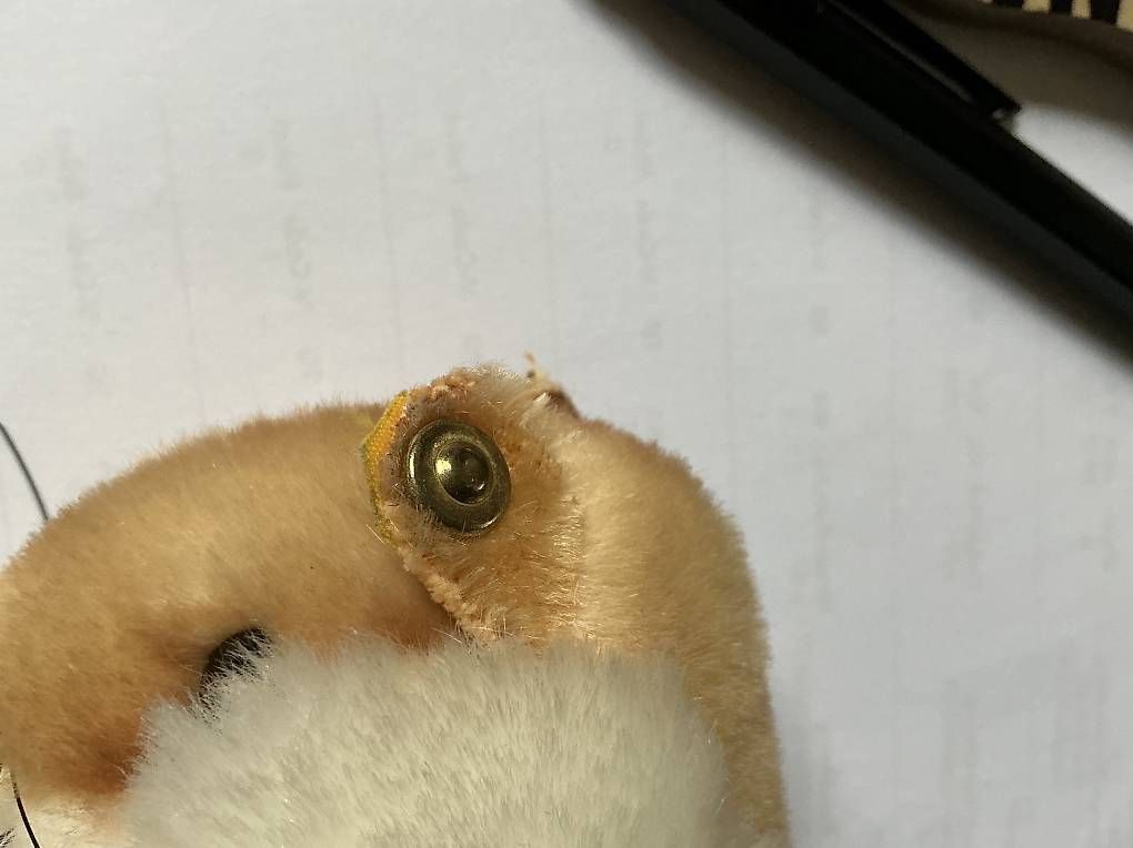 Giocattoli: Steiff Hamster Goldy 2150/12 – Usato da Burgdorf venduto da cockroach69 1