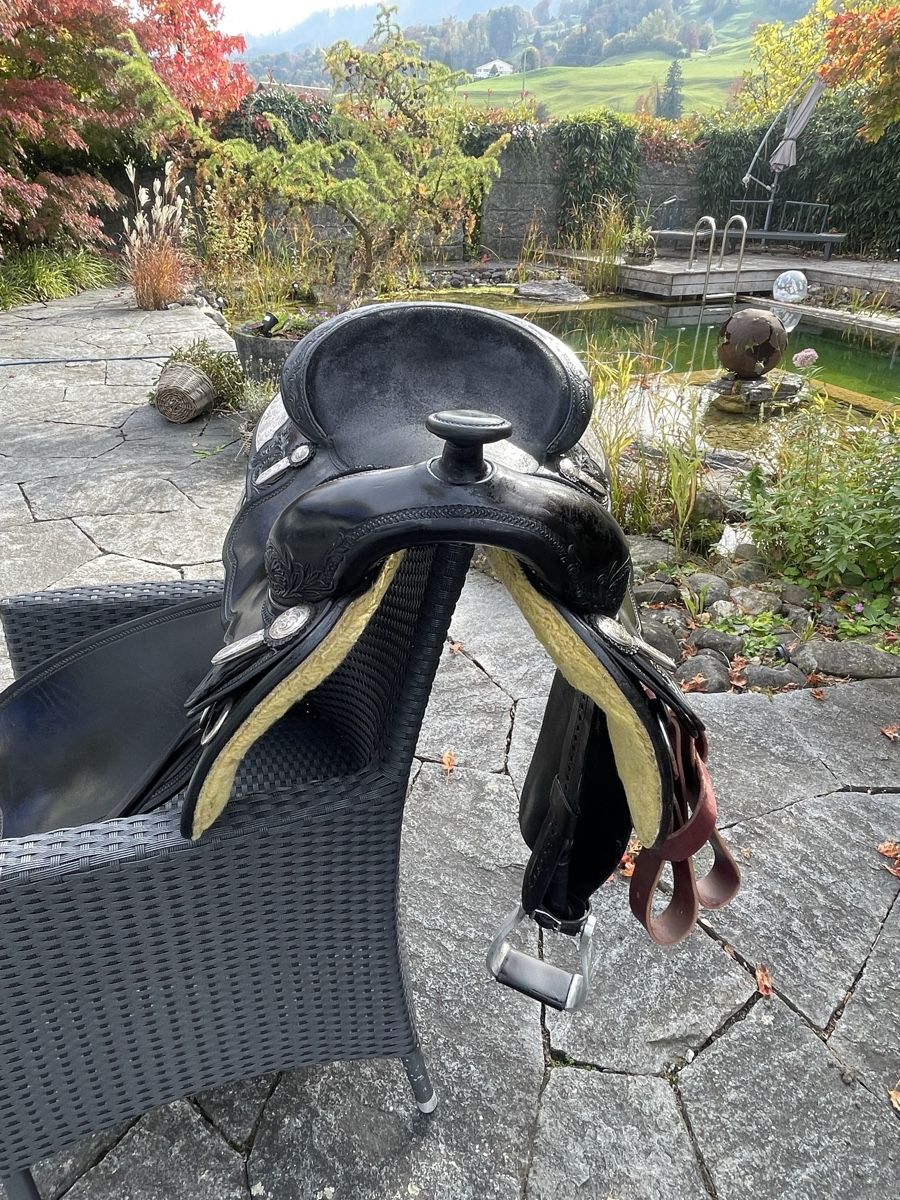 Selles, accessoires: Westernsattel / Showsattel schwarz-silber – D'occasion à Cham par pri_9ktk 2