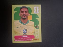 Panini WM 26 BRA 7