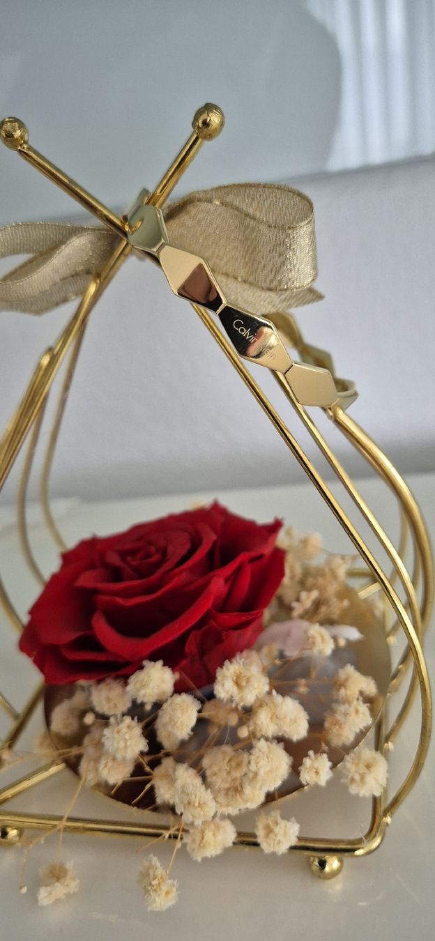 Calvin Klein Altri gioielli: Calvin Klein Armreif-Bracelet Snake – Usato da Oberdorf NW venduto da Roses 2