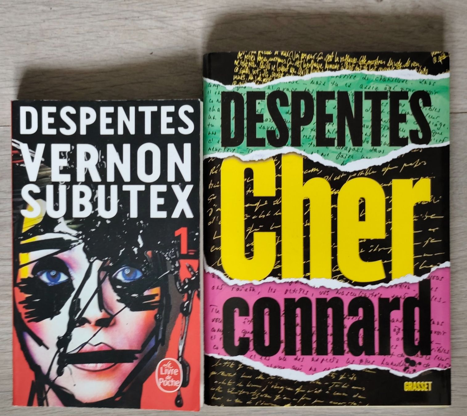 Libri: 2 livres de Virginie Despentes – Usato da Delémont venduto da antioque