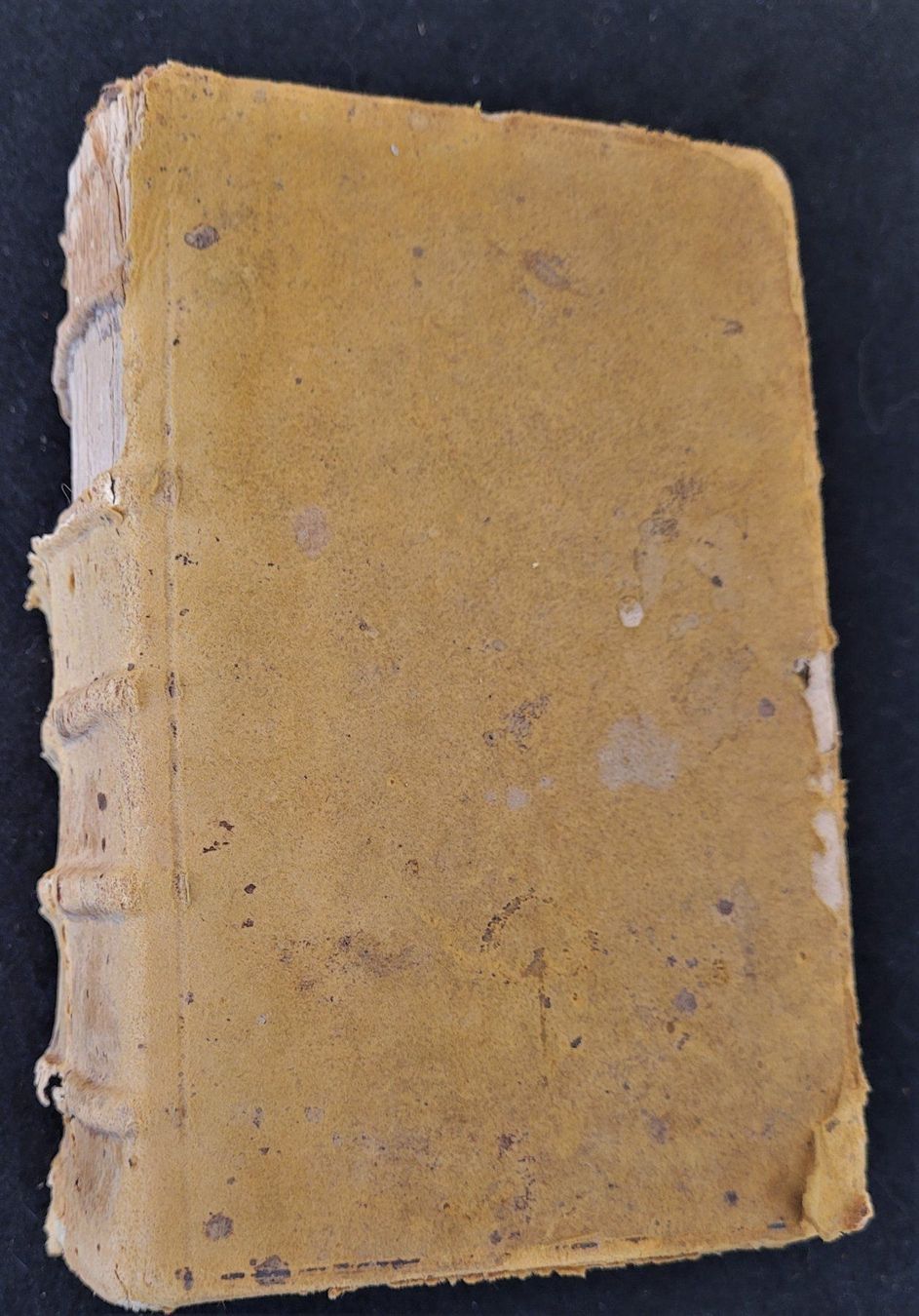 Bücher: Opus lilium medicinae, Lyon 1550 – Gebraucht aus Bourguillon von Lucas111 7
