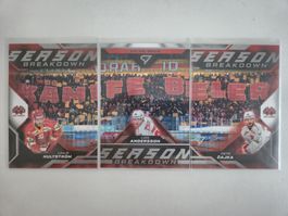SportZoo Season Breakdown Biel-Bienne komplett