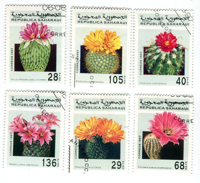 Alle Briefmarken: Briefmarken "Kakteen". Sahara – Neu und originalverpackt aus Basel von