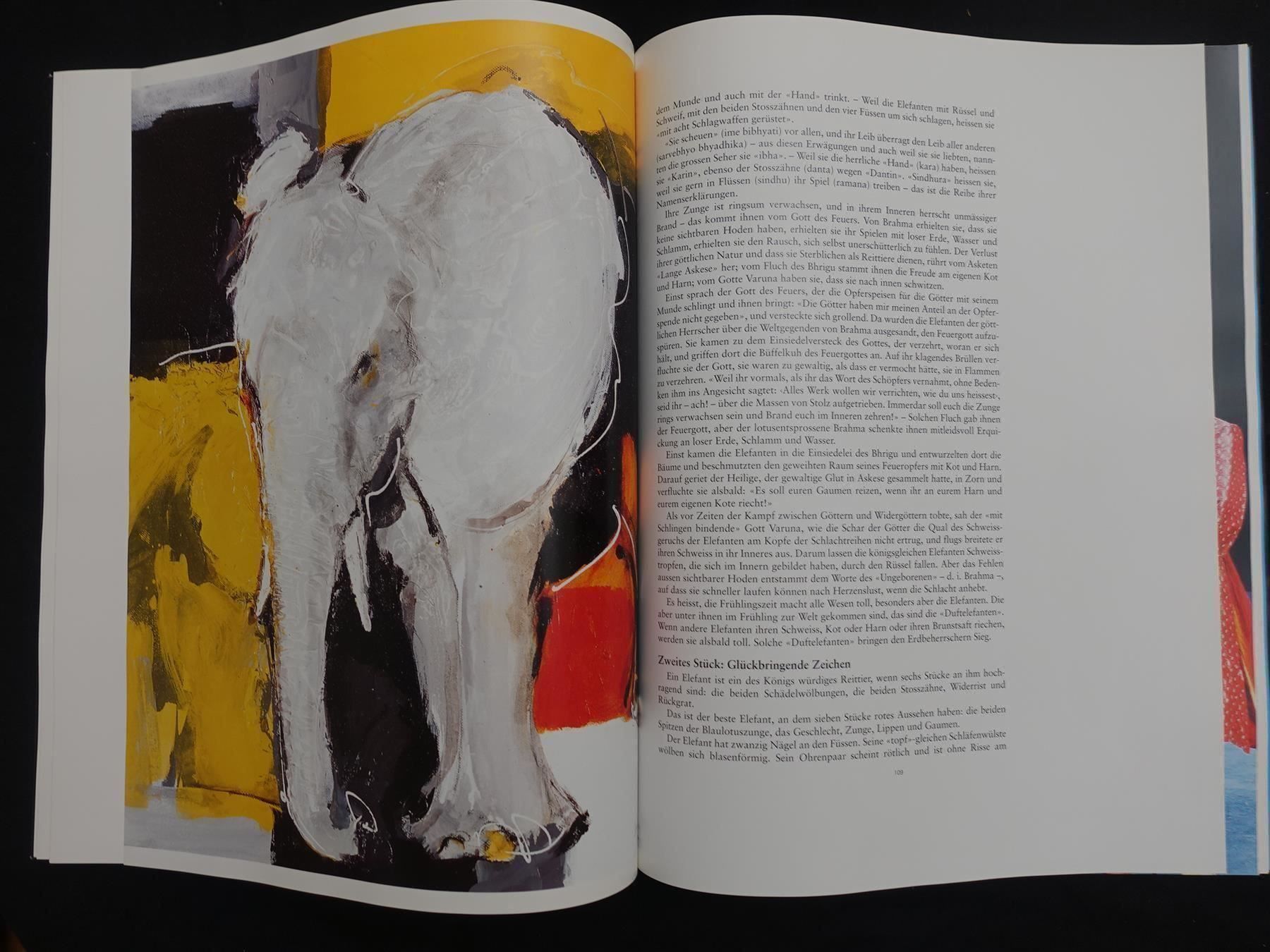Libri: Faszinosum Elefant mit CD / Dimitri u.a. – Usato da Gutenswil venduto da Optico 8