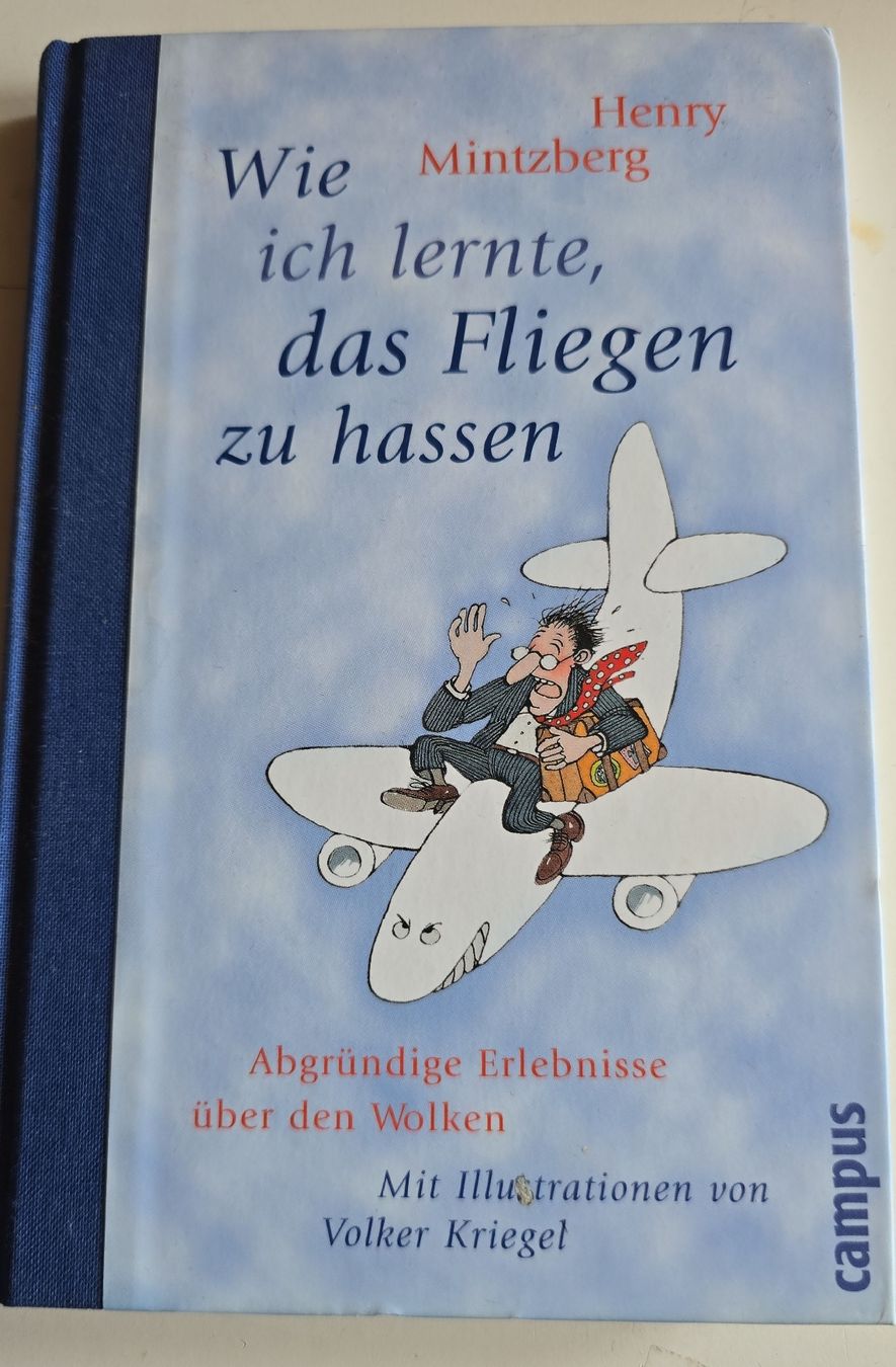 Libri: Das Fliegen zu hassen - Mintzberg – Usato da Oberbüren venduto da Elk2025