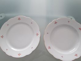 2 Antik Grosse Teller Durchmesser 30 cm BAVARIA