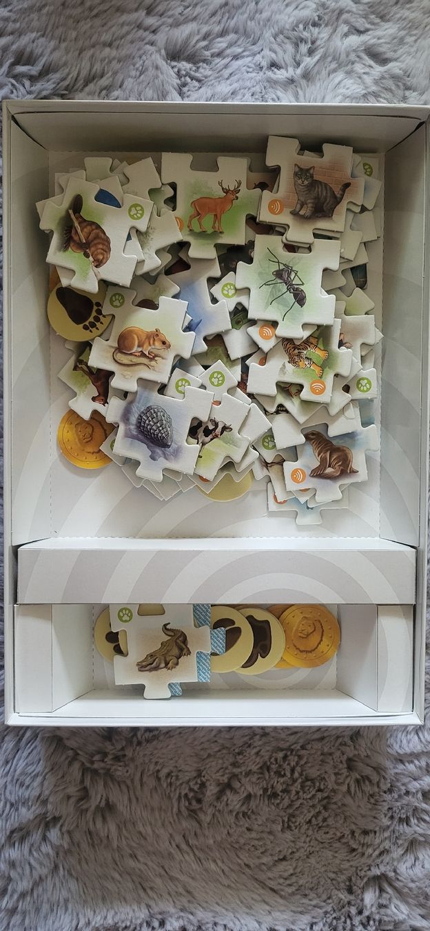 Ravensburger Spiele: Tiptoi Tierwelt Ravensburger – Gebraucht aus Bolligen von Mvg27 1