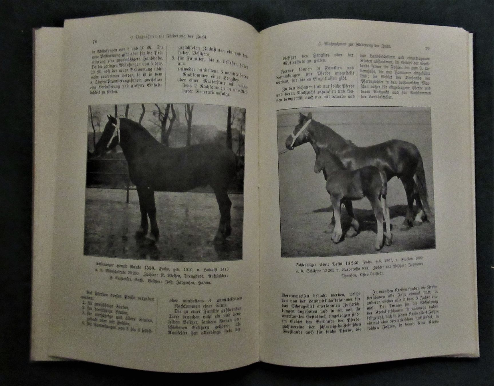 Bücher: * Pferde   Pferdezucht    Schleswiger Pferd   Reiten – Gebraucht aus hedingen von kurattli01 4