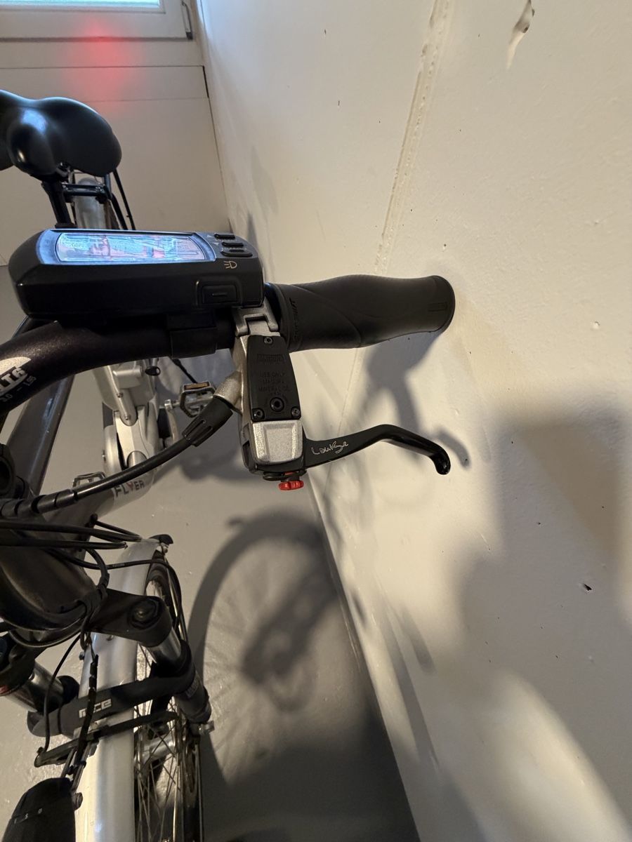 Flyer Biciclette: Elektrovelo Flyer – Usato da Kägiswil venduto da rezha 7