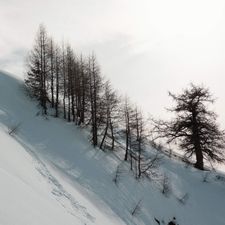 Profile image of Cynok