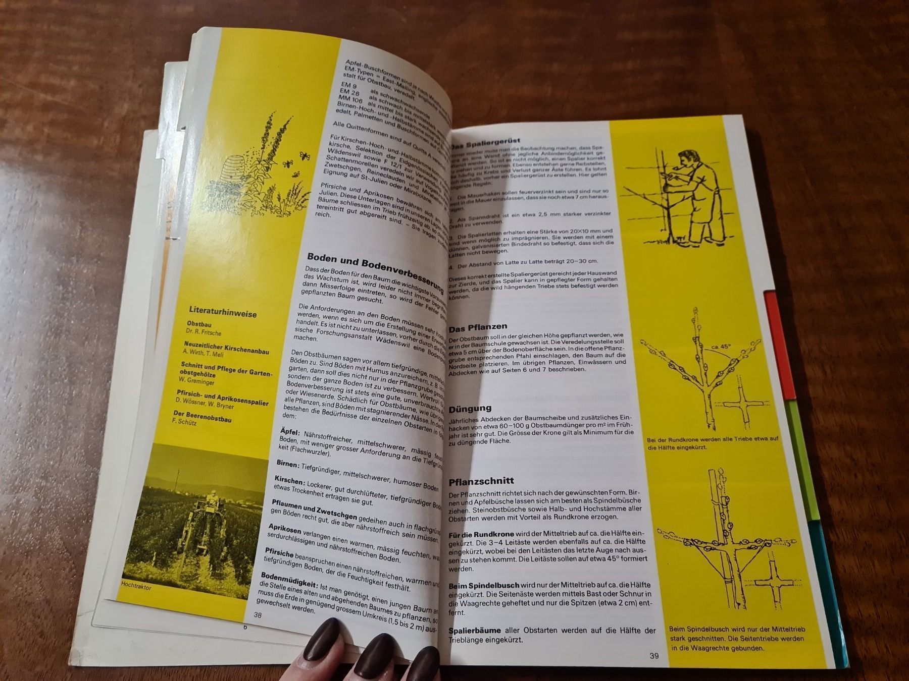 Libri: Das grosse Pflanzen-Buch – Usato da Erstfeld venduto da Uhu1980 1
