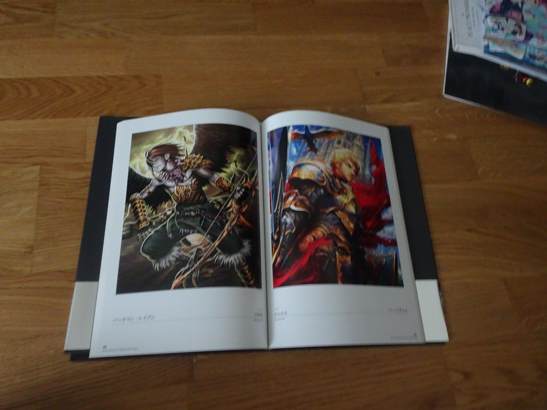 Libri: Shingeki no Bahamut Art Book – Usato da Bern venduto da Maronn 4