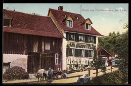 AK Zollikon, Trichtenhausen, Gasthaus von J. Lips