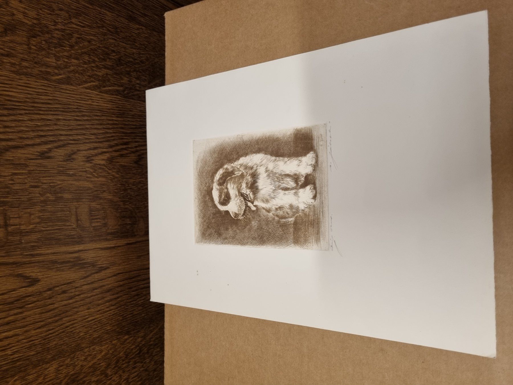 Grafica & Litografie: M. Zoebeli Handsigniert – Usato da Schaffhausen venduto da Leveron13 4