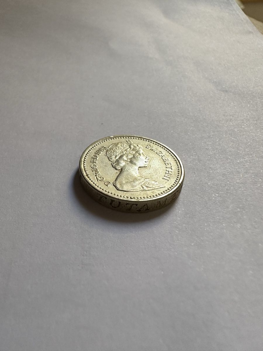 Tutti le monete: One pound 1983 | Decus et Tutamen – Usato da Gampelen venduto da theboywhoworks 3