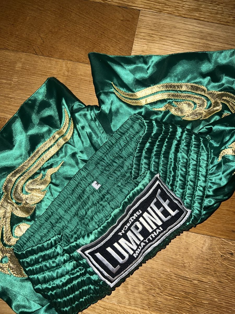 Pantaloni: Muay Thai Shorts Grün – Usato da Aesch BL venduto da sof_rk2j 1
