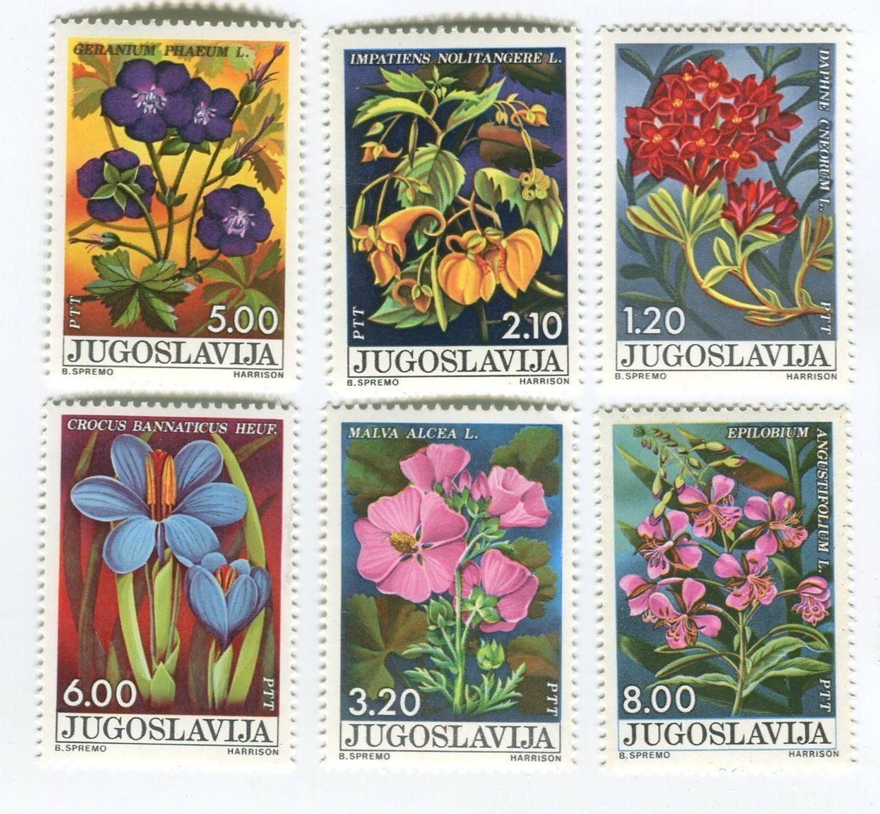 Tutti i francobolli: Briefmarken "Blumen". Jugoslawien. – Nuovo e nell'imballaggio originale da Basel venduto da Butsch5