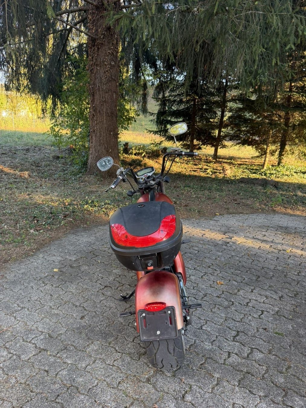 Citycoco Scooters: Dogebos M4 CityCoco E-Roller  – Gebraucht aus Embrach von nok84 5