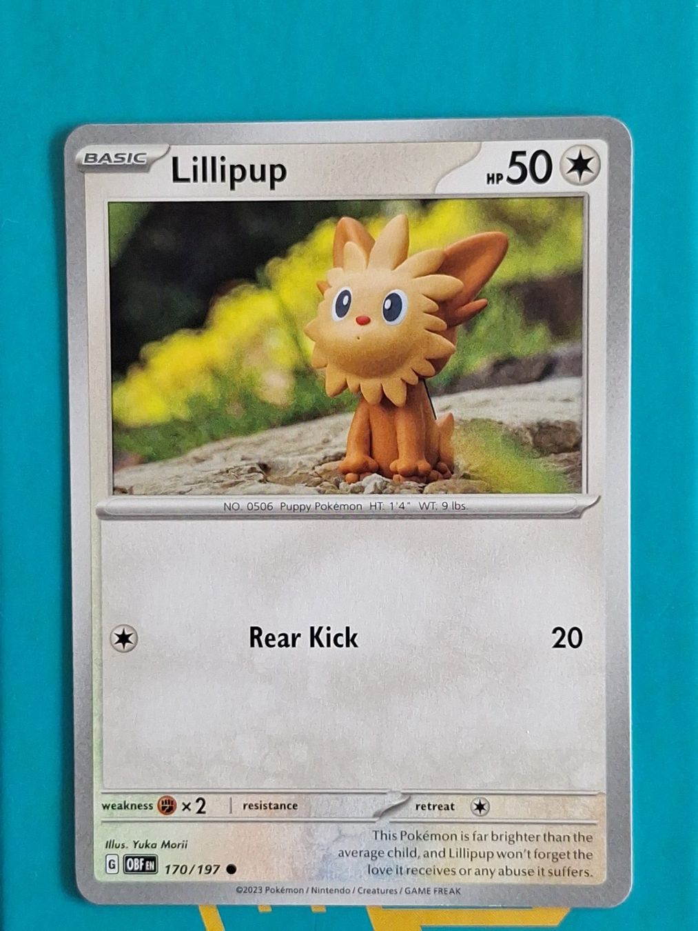 Pokémon Carte collezionabili: Lillipup - Pokemon Obsidian Flames – Usato da Altstätten SG venduto da GGsGameshop