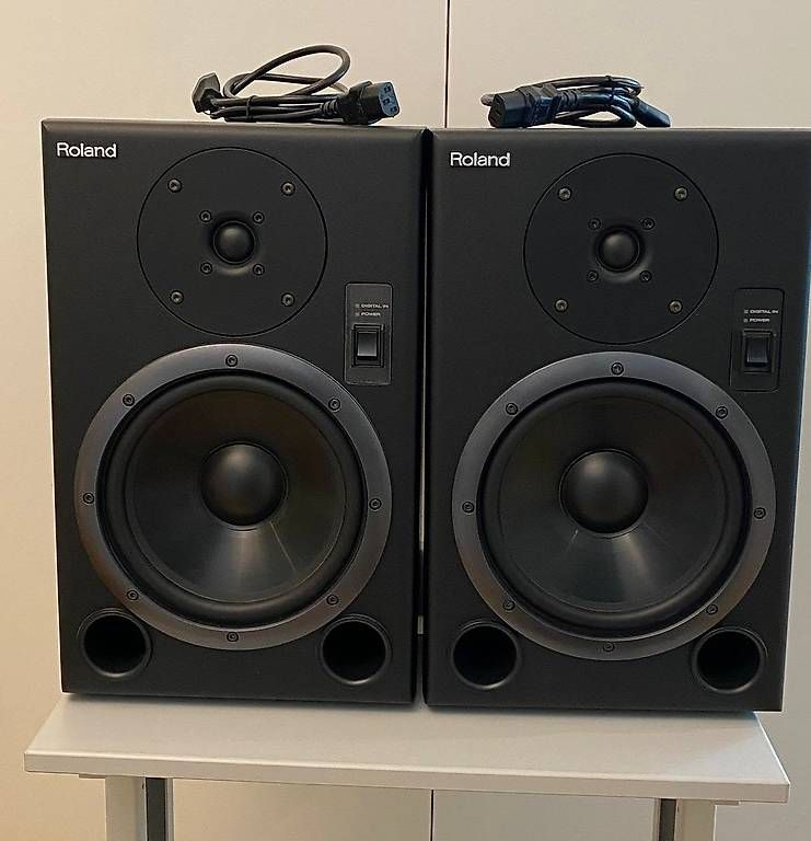 Roland Casse acustiche: 2 Aktiv-Studiomonitore Roland DS-8 – Usato da Wangen ZH venduto da Scotch99