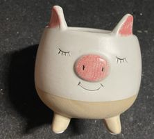 Süsser Übertopf Schweinchen Design 👍 neuwertig