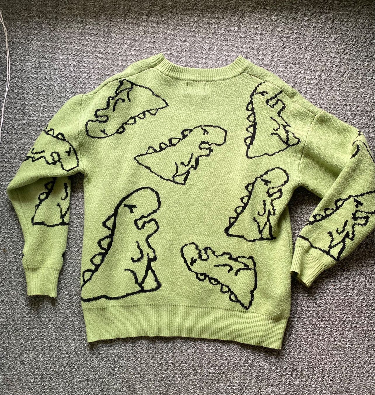 Pullover & Sweatshirts: Dino-Pulli🦖, Gr. M, Top Zustand! – Gebraucht aus Lyss von pau_96dm 1
