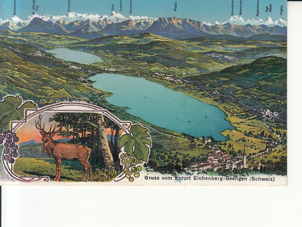 Cartoline postali: Eichenberg-Seengen ca. 1920 – Usato da Bürglen TG venduto da StampGraf