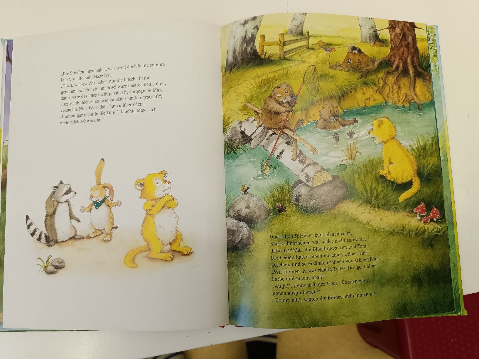 Libri: Du bist echt stark kleiner Tiger – Usato da Ehrendingen venduto da Cheronimo2 2
