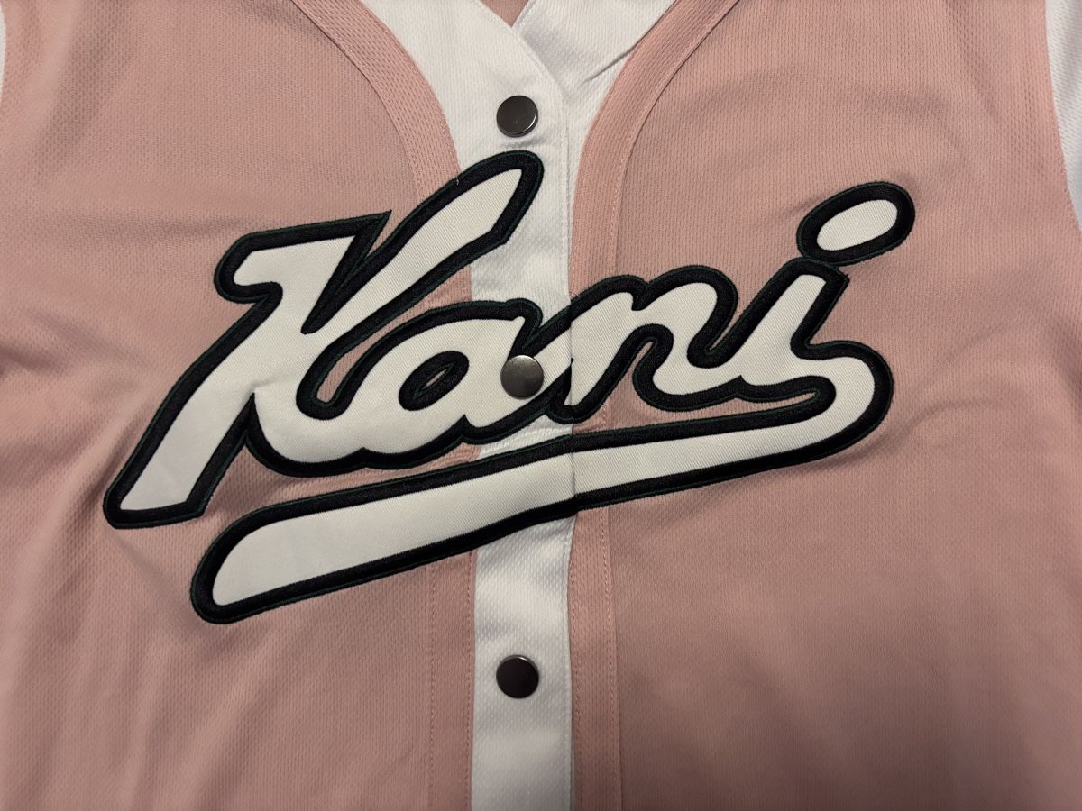 Camicette, T-shirt & Top: Kani T-Shirt mit Knöpfen – Nuovo (secondo la descrizione) da Dättlikon venduto da Cocco2 2