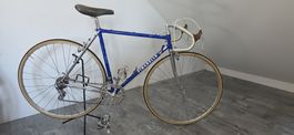 Pinarello Treviso 