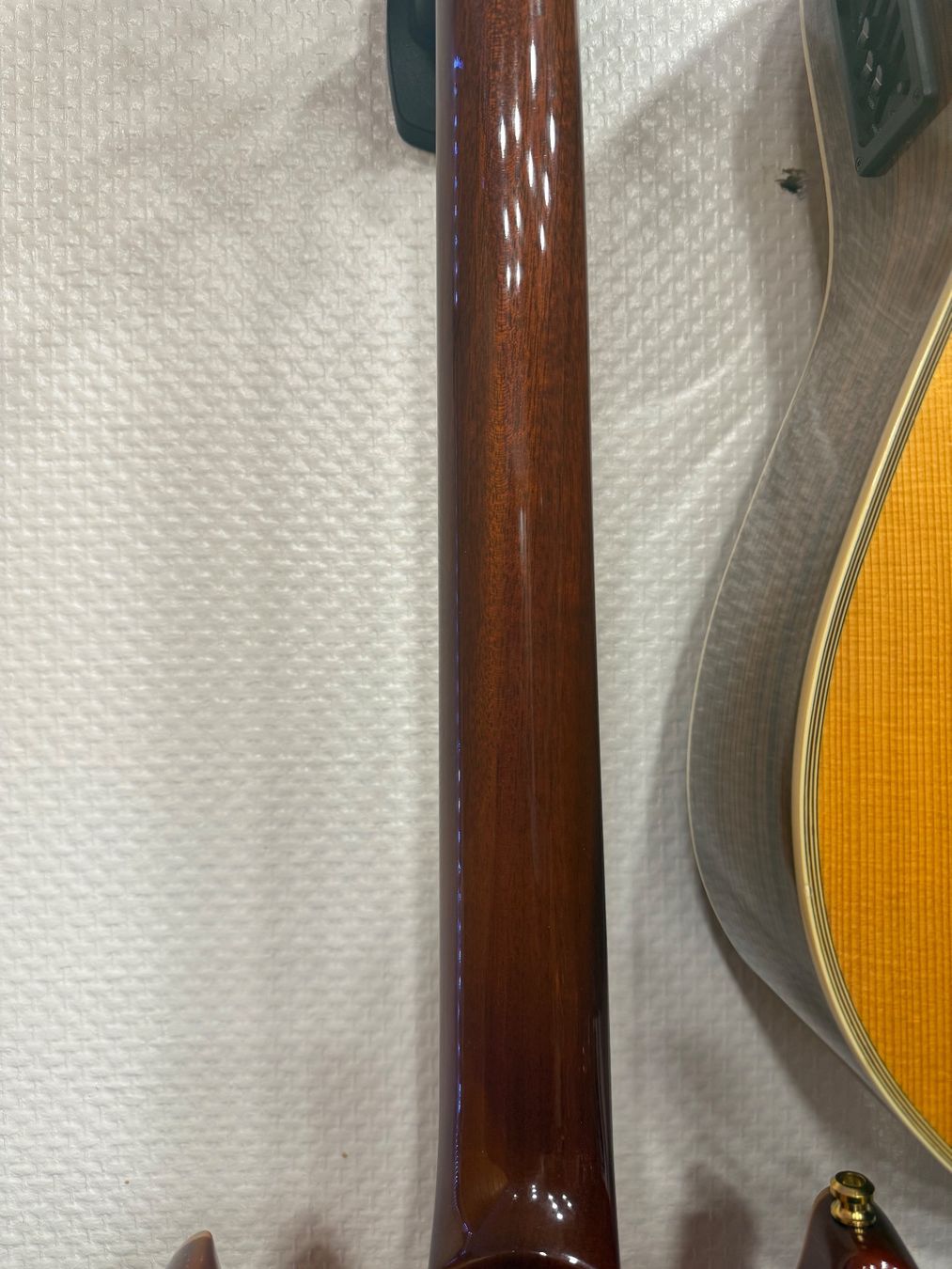 Strumenti musicali: PRS Santana MD aktiv schaltbar – Usato da Neuhausen venduto da vol_ts2t 4