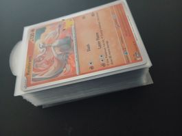 Pokémon 30th Celebration Bulk Englisch