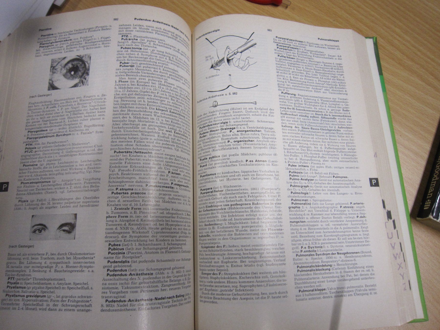 Libri: Altes Pschyrembel Wörterbuch – Usato da Gordola venduto da Polentaefung 2