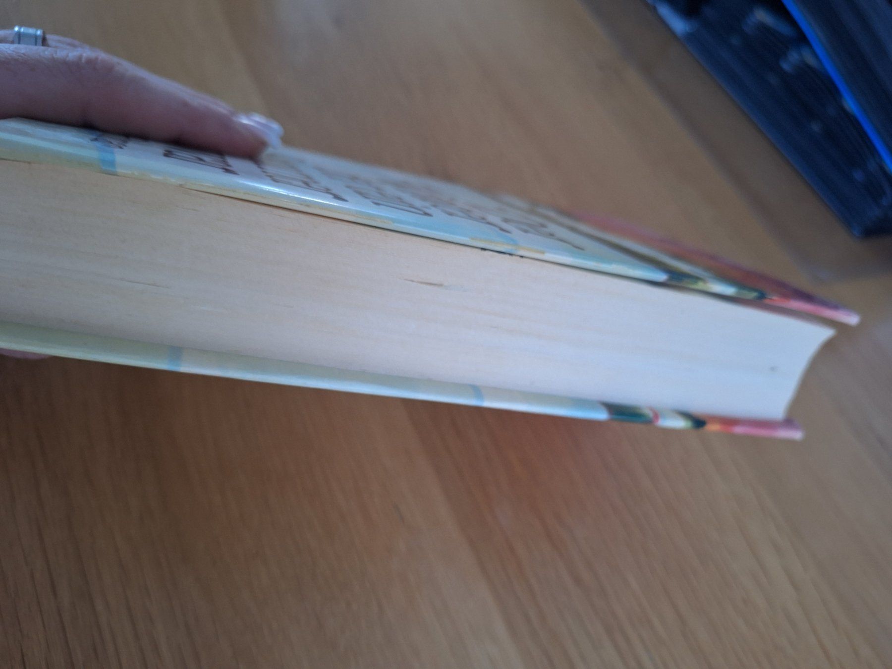 Libri: Roman Sandra Paretti Der Winter der ein Sommer war – Usato da Wanzwil venduto da chlinih93 2