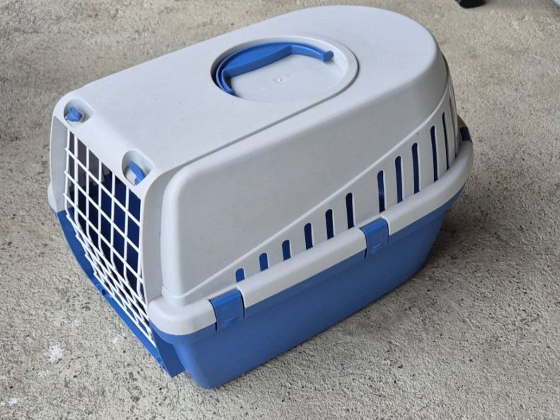 Cucce & Letti: Katzen Transportkiste – Usato da Ebikon venduto da Dan40
