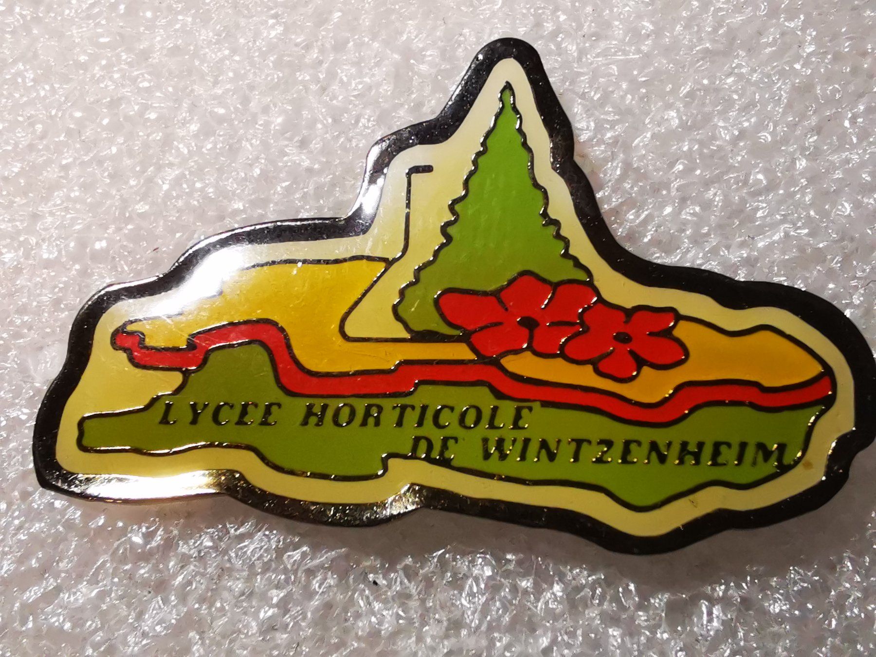 Placchette & Badge: Ansteckpin 15: Lycee – Usato da Oppligen venduto da Pin-Fall-Shop