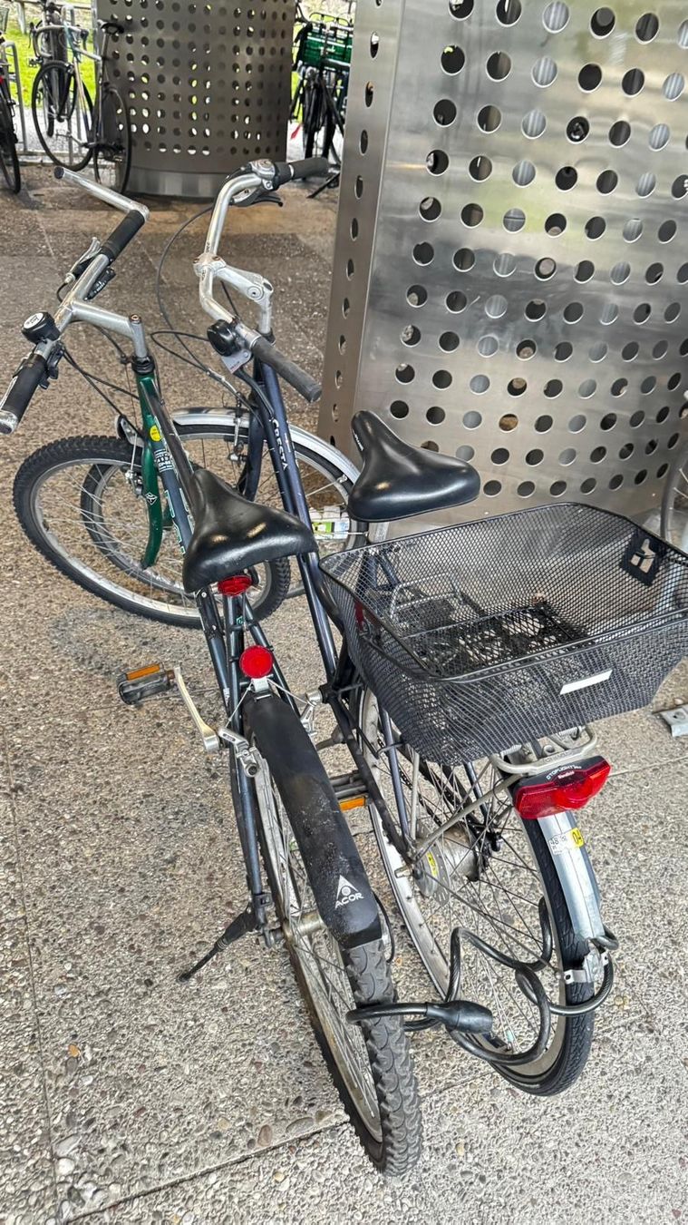 Biciclette: Zwei Velos – Usato da Zufikon venduto da bil_t9sg 1
