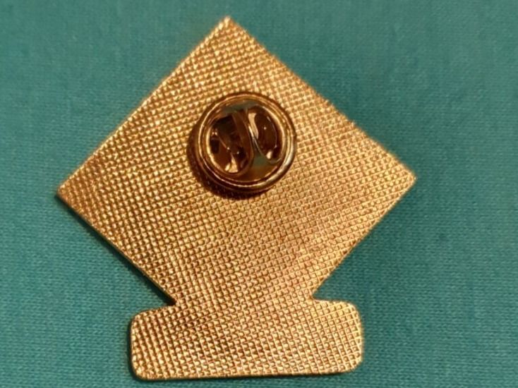 Placchette & Badge: Pin / Ansteckpin / Vögi – Usato da Volketswil venduto da nibin99 1
