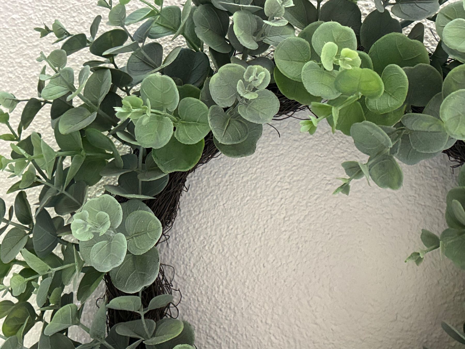 Tutte le decorazioni: Eucalyptus- Kranz künstlich 50cm – Usato da Frick venduto da sandra037 3